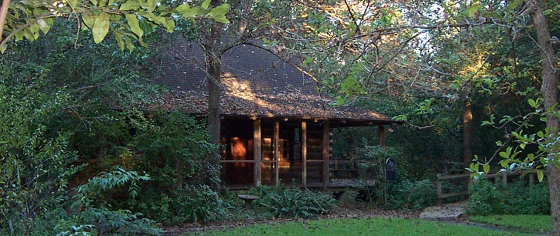 Edith L. Moore Nature Sanctuary: The Woods She Left Behind Image