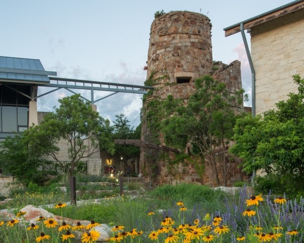 Lady Bird Johnson Wildflower Center: Where Beauty Became a Public Cause Image